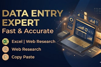 do fast and accurate data entry, excel work, copy paste and web research