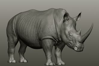 realistic 3d animal model sculpt for 3d printing stl zbrush creature design