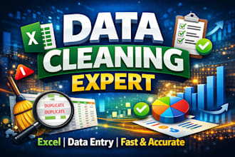 data cleaning, data entry, data formatting and data management professionally