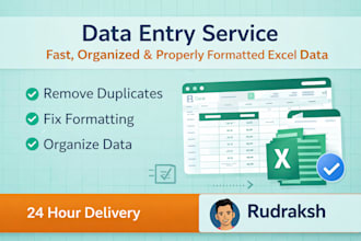 do data cleaning in excel and data formatting within 24 hrs