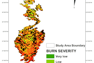 create professional gis maps, spatial analysis, and geospatial visualization