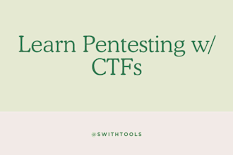 guide you through ctf challenges and pentesting basics