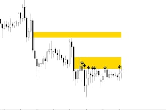 develop your custom mt4 or mt5 indicator, eas
