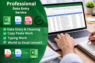 do excel data entry, copy paste, data cleaning, PDF to excel