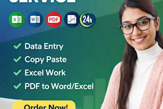 accurate data entry and excel work
