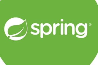 develope a professional java spring boot developer profile