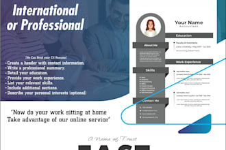 design infographic CV, resume portfolio in 2 hours