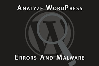 thoroughly analyze wordpress website