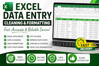 do excel data entry professionally