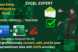 your excel expert for data entry and spreadsheet work