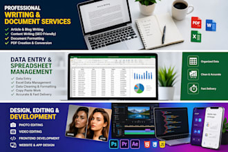 provide professional digital services