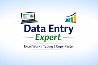 do data enter, typing and excel work professional