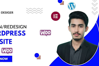 design or redesign website with elementor