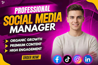 be your social media marketing manager for facebook and instagram organic growth