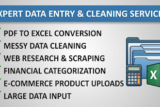 do professional financial data entry, excel data cleaning, and web research