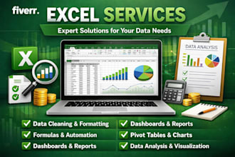 do excel data cleaning, formulas, analysis and dashboard
