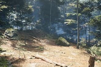 do unity and unreal engine 5 3d game environment,map,level design,terrain model