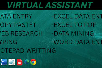 do accurate data entry, web research and copy paste