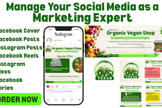 manage your social media accounts as a social media manager