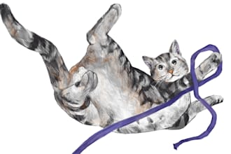 create a realistic digital pet portrait from your photo
