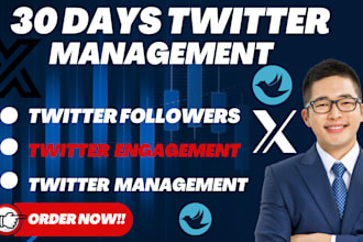 manage x account complete 30days twitter x promotion to gain active x followers
