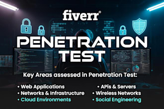 perform a penetration test