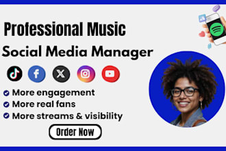 music artist instagram page growth strategy social media manager content creator