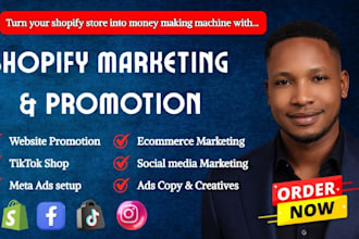 audit shopify sales shopify marketing shopify promotion ecommerce marketing