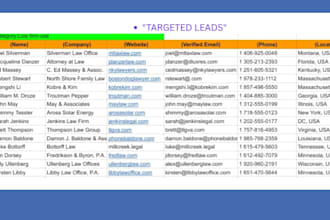 provide high quality b2b lead generation and web research