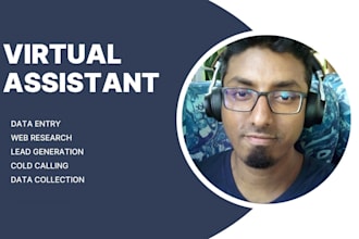 be your virtual assistant for data entry and web research