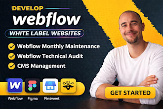 provide webflow monthly maintenance webflow technical audit cms management