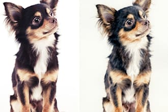 create a digital watercolor picture from photos or text