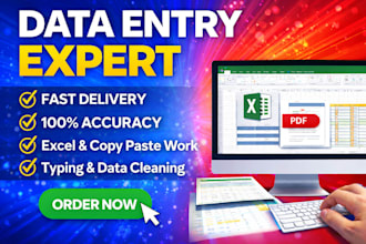 do error free data entry, excel work with fast delivery