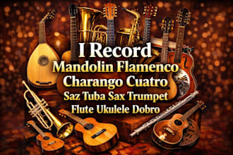 record mandolin flamenco acoustic classical nylon steel electric guitar