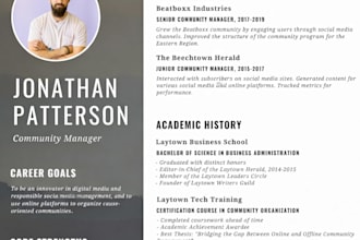 design a professional CV or resume