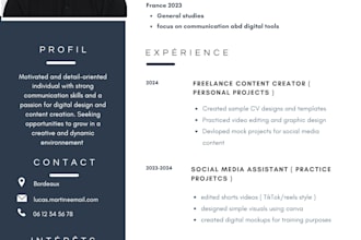 write and improve your professional CV or resume