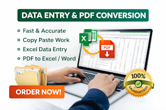 do data entry ,copy past, excel work and pdf conversion