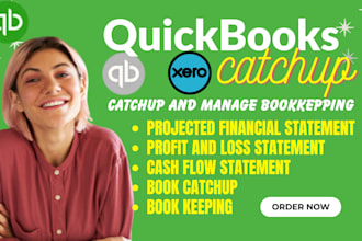 cleanup catchup your quickbooks and manage your book keeping