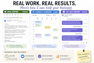 be your organized virtual assistant for admin and data tasks