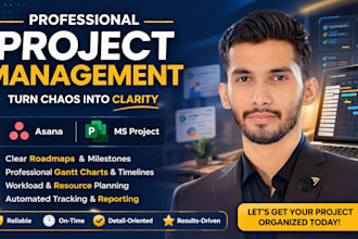 provide effective project management in asana and ms project