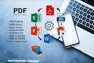 do professional excel data cleaning and formatting
