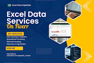 do excel data cleaning and formatting, excel data entry