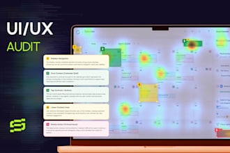 do a professional UI UX audit of your website or app