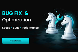 fix wordpress issues, bugs and optimize website speed