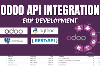 implement odoo API integration maintenance full stack odoo erp development