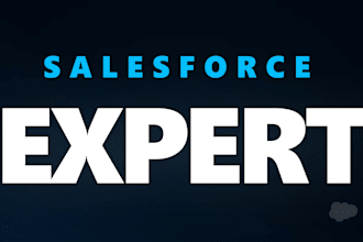 be your expert salesforce developer and consultant
