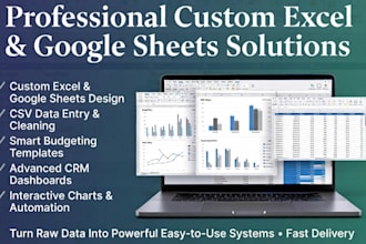 design custom excel google spreadsheet, csv data entry budgeting, crm dashboard