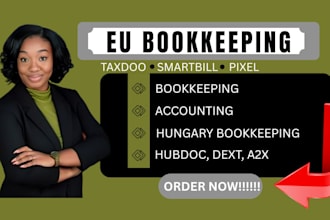 accounting bookkeeping tax return for businesses in romania hungary eu ireland