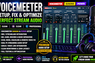 fix voicemeeter noise echo mic and stream audio issues