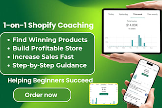 be your shopify mentor ecommerce coach consultant shopify dropshipping mentor